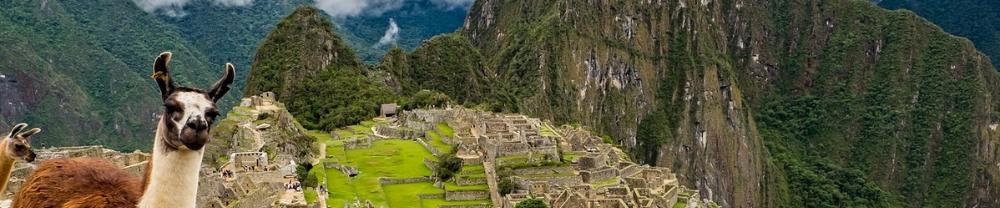Peru-Machu-Picchu-llama
